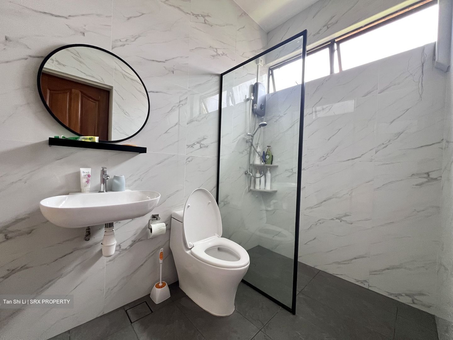 Princess Of Wales Park (D10), Semi-Detached #449232291